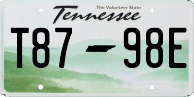 TN license plate T8798E