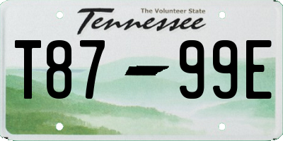 TN license plate T8799E