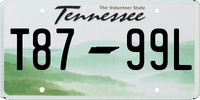 TN license plate T8799L