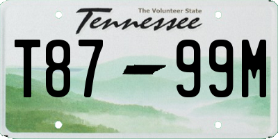 TN license plate T8799M