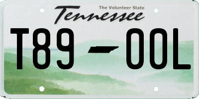 TN license plate T8900L