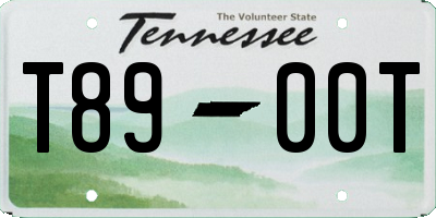 TN license plate T8900T
