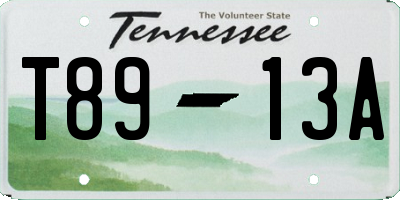 TN license plate T8913A