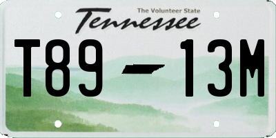 TN license plate T8913M