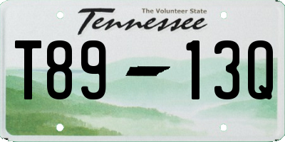 TN license plate T8913Q