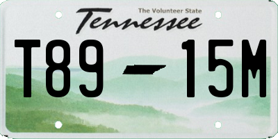 TN license plate T8915M