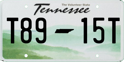 TN license plate T8915T