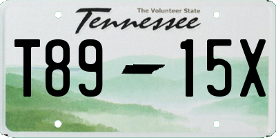 TN license plate T8915X