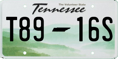 TN license plate T8916S