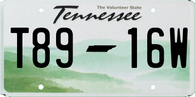 TN license plate T8916W
