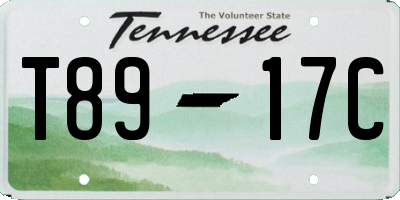 TN license plate T8917C
