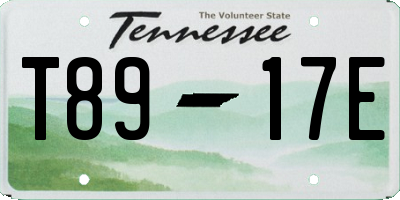 TN license plate T8917E