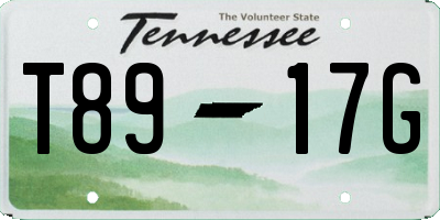 TN license plate T8917G