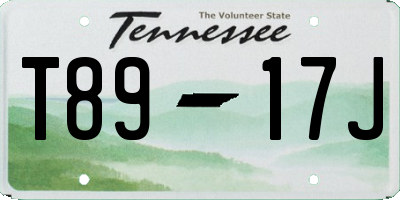TN license plate T8917J