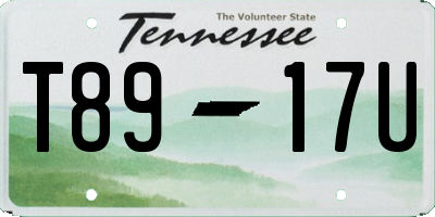 TN license plate T8917U