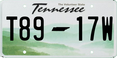 TN license plate T8917W
