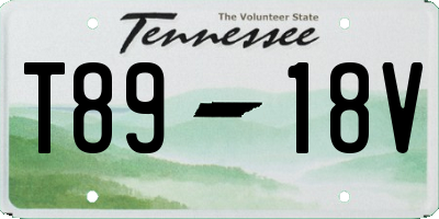 TN license plate T8918V