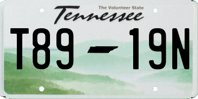 TN license plate T8919N