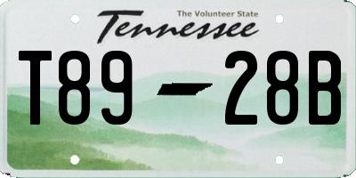 TN license plate T8928B