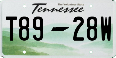 TN license plate T8928W