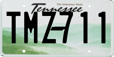 TN license plate TMZ711