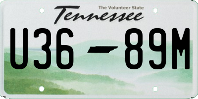 TN license plate U3689M