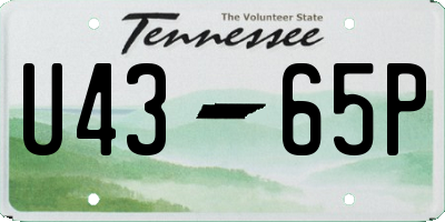 TN license plate U4365P