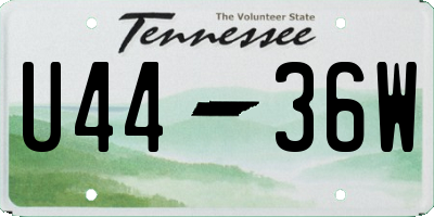 TN license plate U4436W