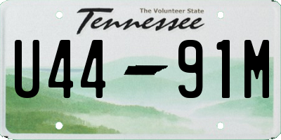TN license plate U4491M