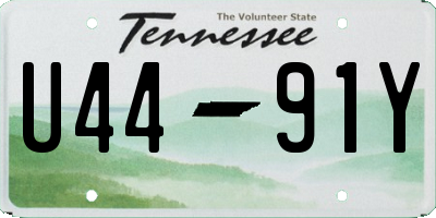 TN license plate U4491Y