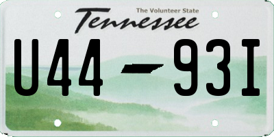 TN license plate U4493I