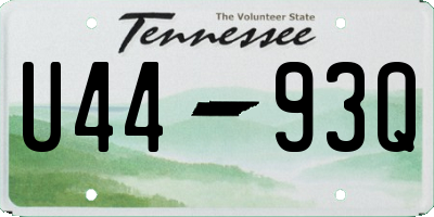 TN license plate U4493Q