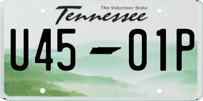 TN license plate U4501P