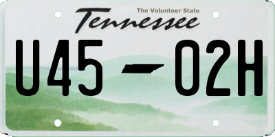 TN license plate U4502H