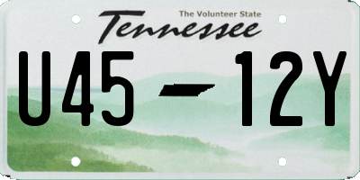 TN license plate U4512Y