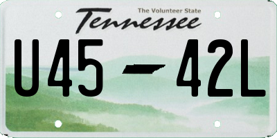 TN license plate U4542L
