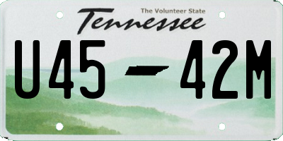 TN license plate U4542M