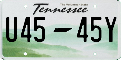 TN license plate U4545Y