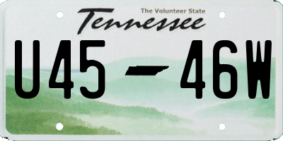 TN license plate U4546W