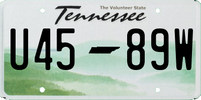 TN license plate U4589W