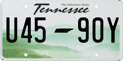 TN license plate U4590Y