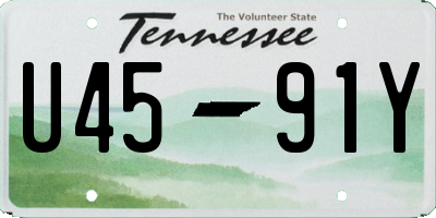 TN license plate U4591Y
