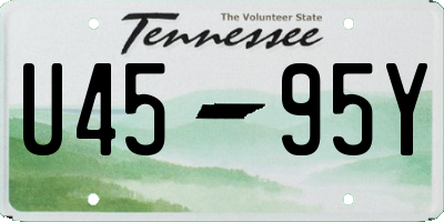 TN license plate U4595Y