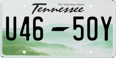 TN license plate U4650Y