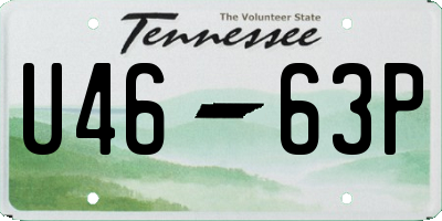 TN license plate U4663P