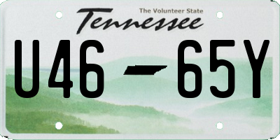 TN license plate U4665Y