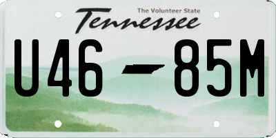 TN license plate U4685M