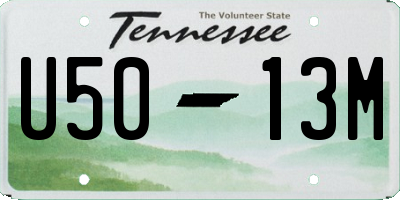 TN license plate U5013M