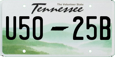 TN license plate U5025B