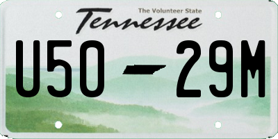 TN license plate U5029M